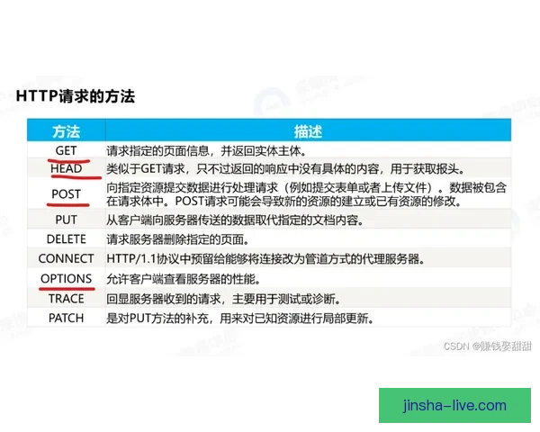 金沙备用域名解析及安全防护策略全解析助您避免网络风险 金沙备用域名解析及安全防护策略全解析助您避免网络风险