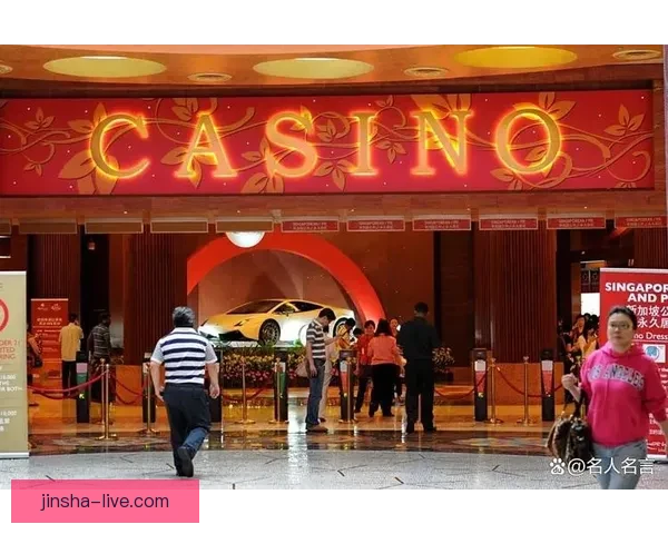 畅享金沙娱乐体验尽情探索奢华与娱乐的完美结合 畅享金沙娱乐体验尽情探索奢华与娱乐的完美结合